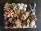Santa's tray
